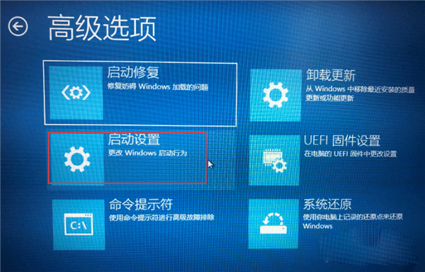 Win11安装之后不能联网？Win11安装不能联网操作步骤