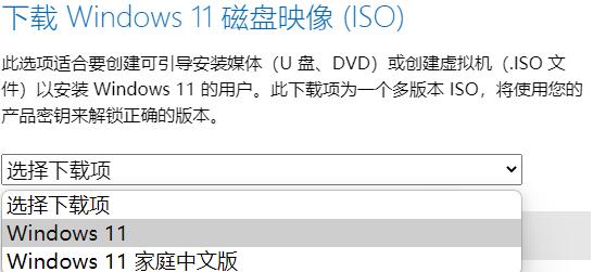 Win11屏幕变黑如何解决？Win11屏幕变黑恢复方法