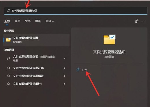 Win11文件后缀名如何显示？Win11文件后缀名显示操作方法