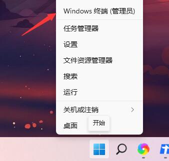 Win11开机绿屏怎么办 Win11开机绿屏的解决方法