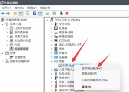 如何在Windows11中关闭透明度？