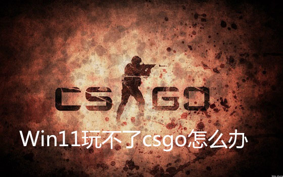 Win11玩不了csgo怎么办？Win11玩不了csgo的解决方法