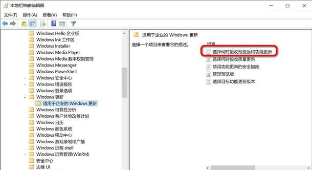 怎么阻止更新至Win10 20H2？