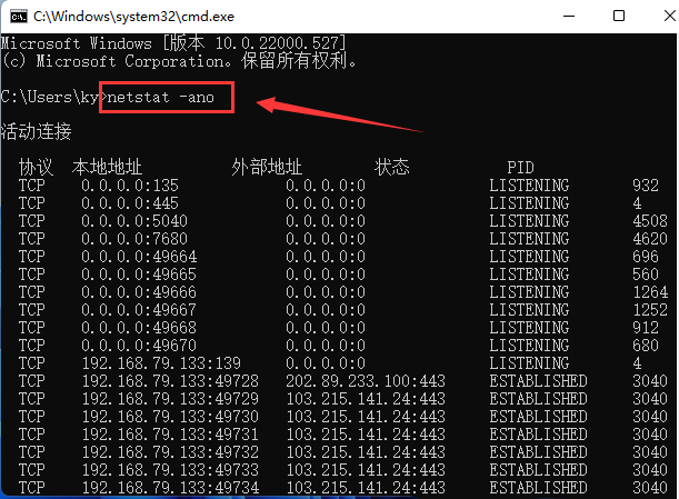 Win11如何查找指定端口信息？Win11查找指定端口信息的技巧