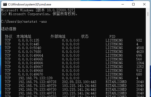 怎么看端口有没有被占用？Win11查看端口是否占用的方法