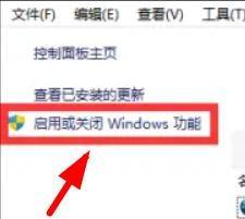 Win11怎么打开IIS管理器应用？