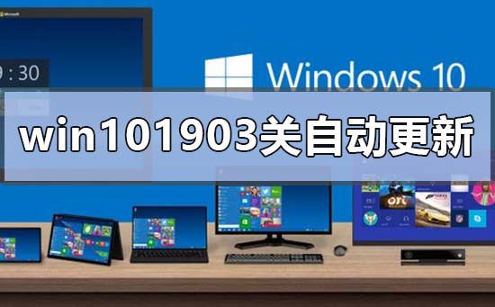 win101903怎么关闭自动更新？win101903关闭自动教程