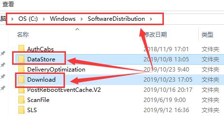 win10商店下载不了东西？win10商店下载没反应的解决方法？