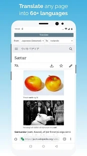 KiwiBrowser浏览器