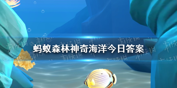 小猪章鱼外表像小猪吗 支付宝海洋答题2024年4月11日